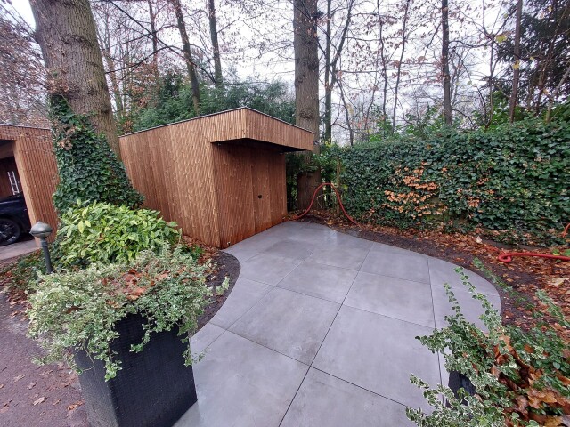 491580360 1272491604592256 1720290091265899017 n